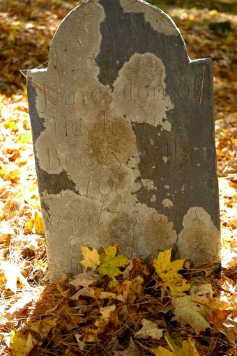 No image is available for this grave.