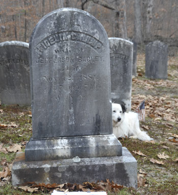 No image is available for this grave.