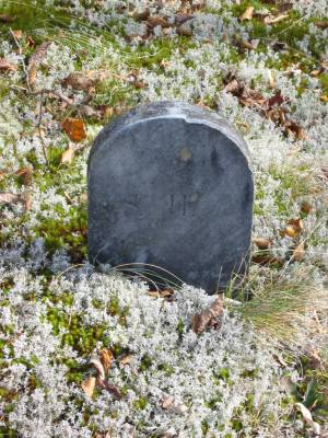 No image is available for this grave.